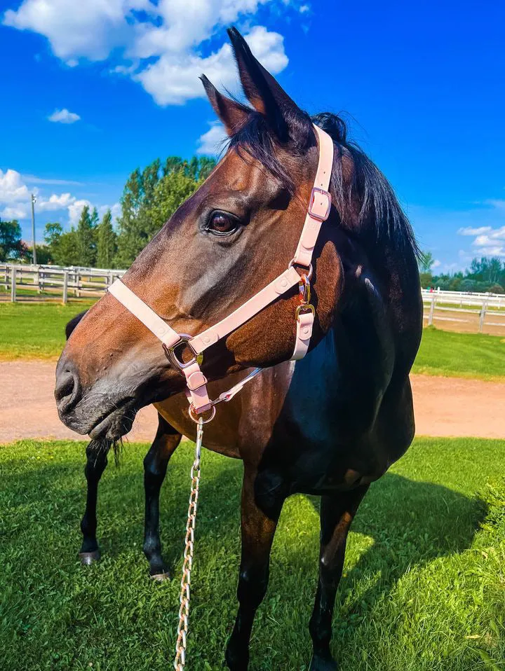 iCavalos Horse Halter Candy Pink