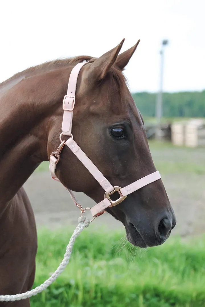 iCavalos Horse Lead Candy Pink