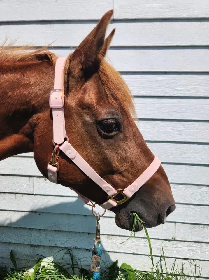 iCavalos Horse Lead Candy Pink