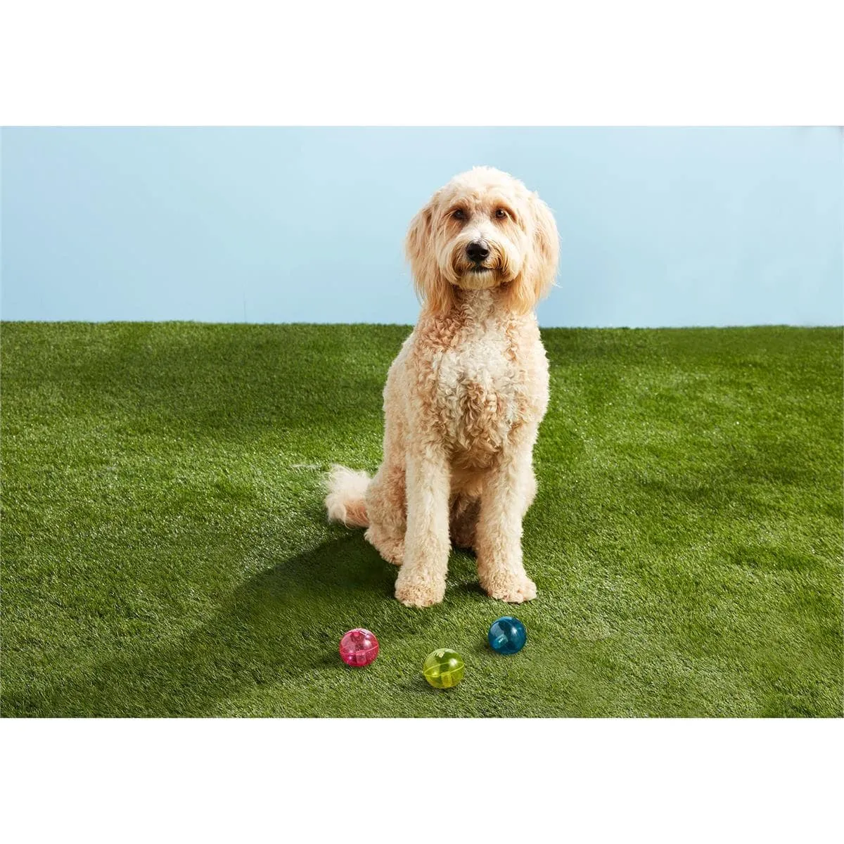 Light-Up Dog Ball Toys