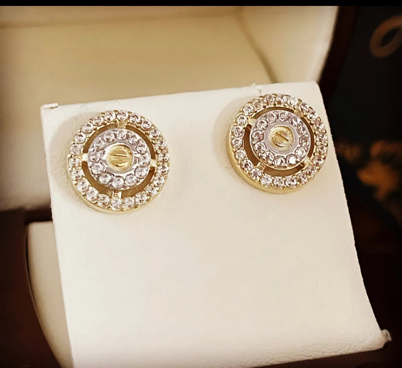 Pierce earrings E206