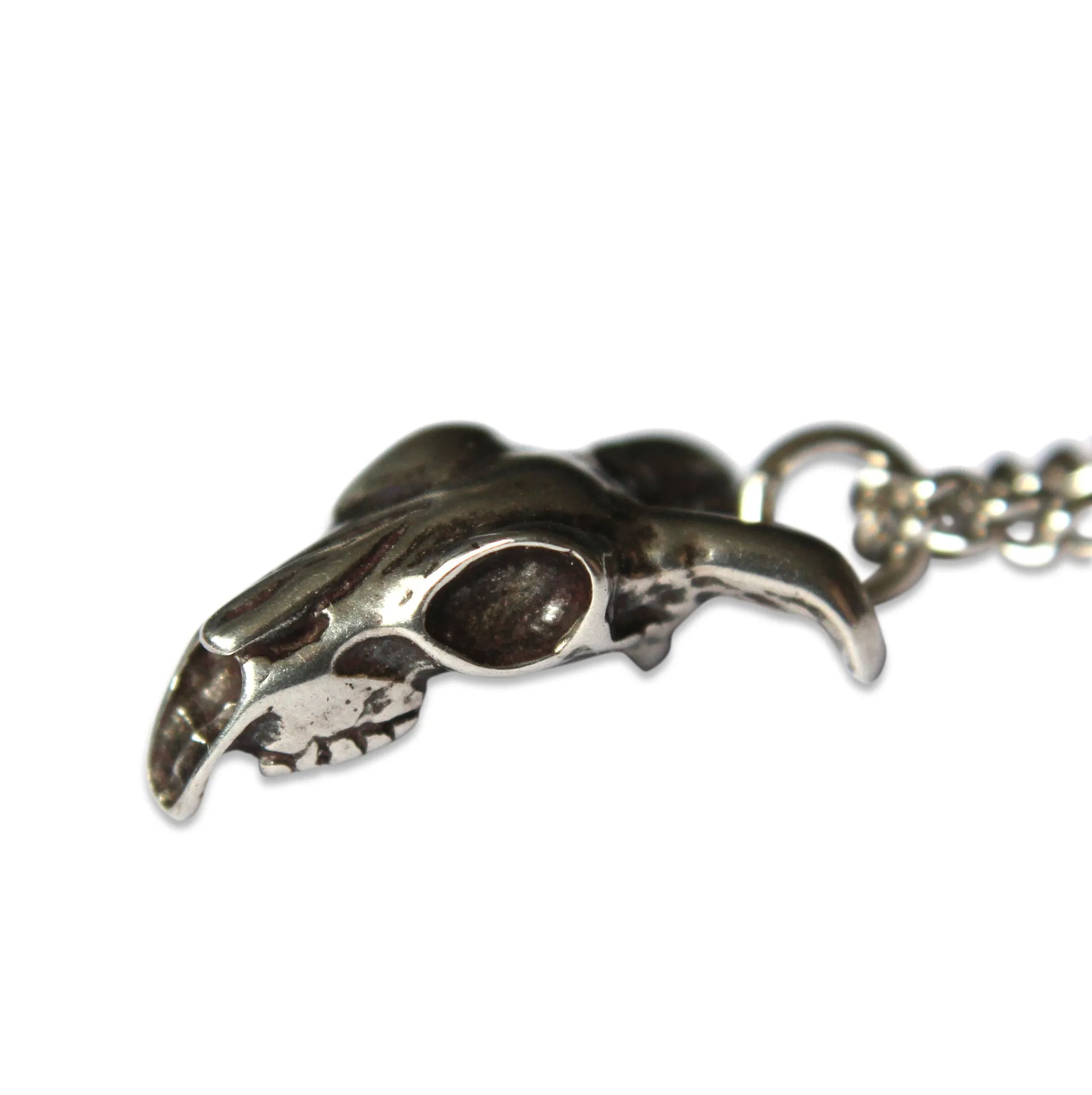 Tiny Ram Skull Necklace